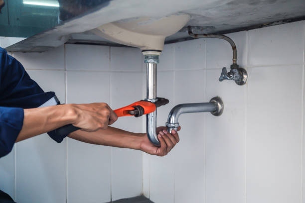 Best Drain Cleaning Services  in Mascotte, FL