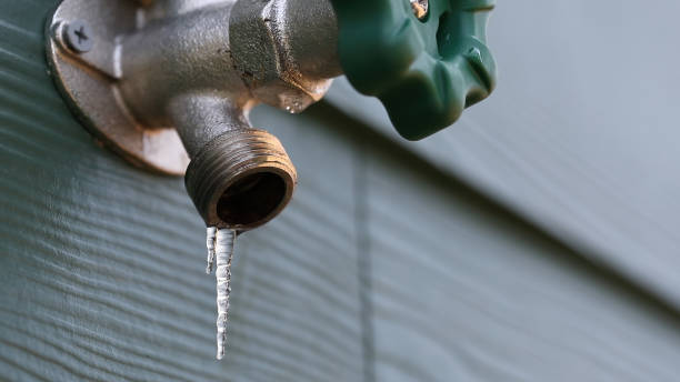 Best Emergency Plumber  in Mascotte, FL